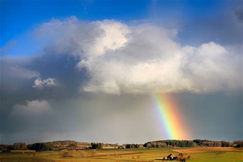 彩虹wallpaper|超过 300000 张关于“Rainbow Wallpaper”和“彩虹”的免。